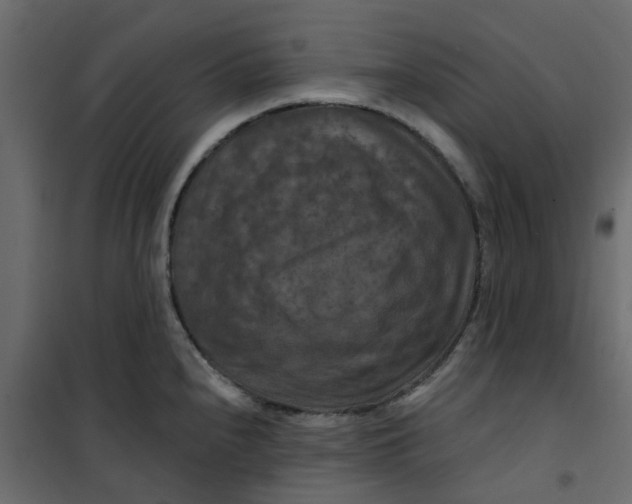 X0000101091240200807171840