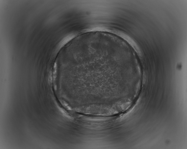 X0000101091241200807171840