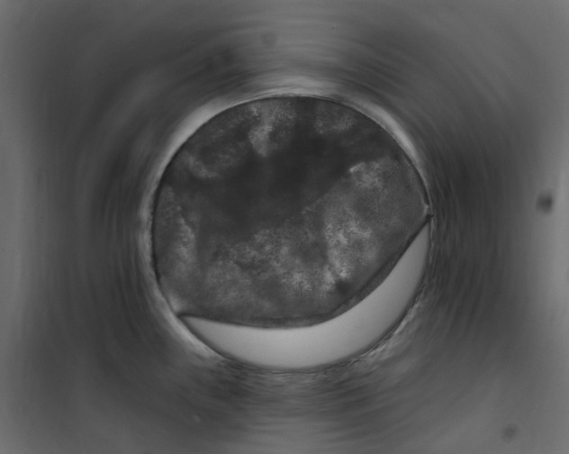 X0000101091243200807171840