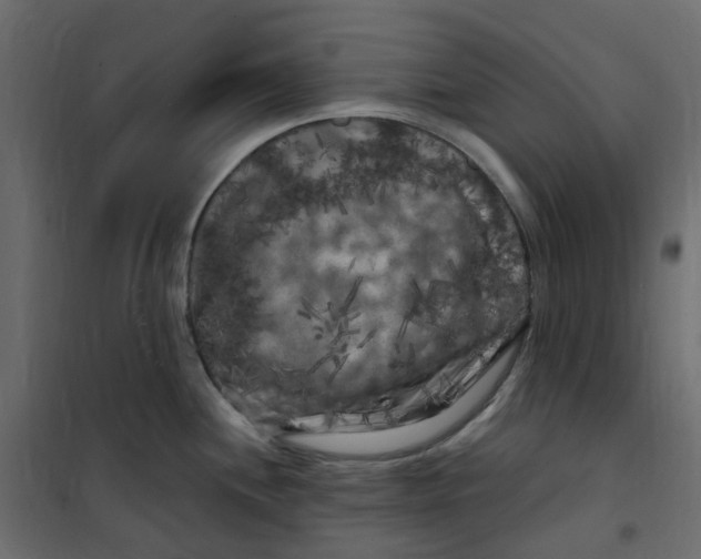 X0000101091244200807171840