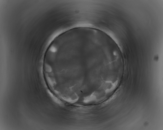 X0000101091245200807171840