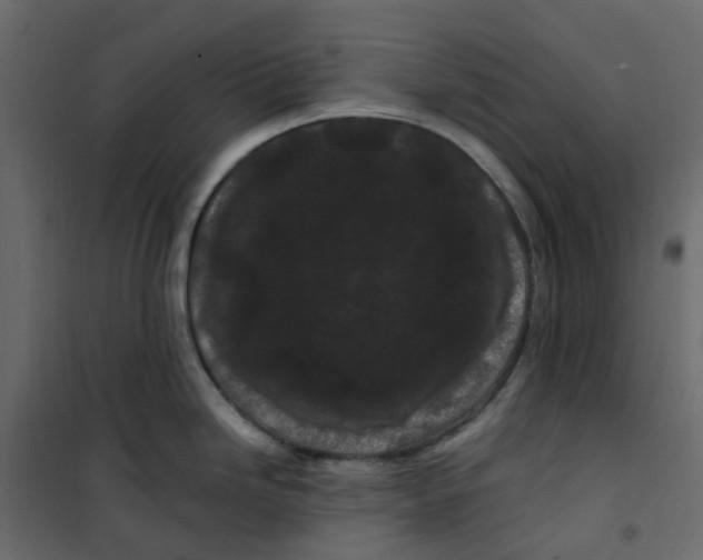 X0000101091246200807171840