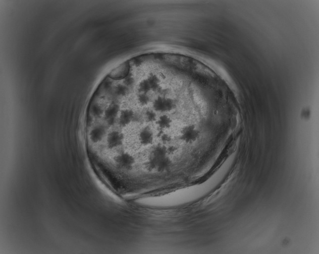 X0000101091247200807171840