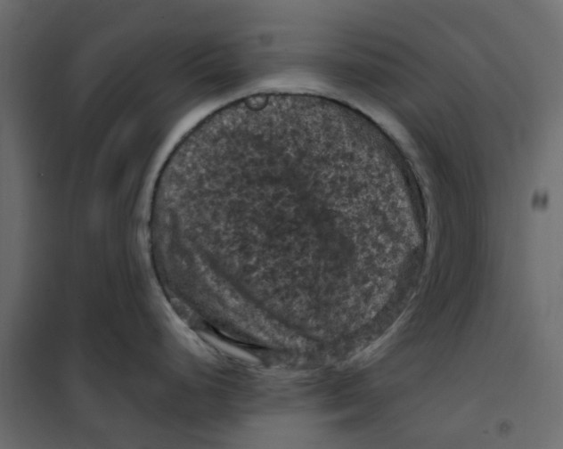 X0000101091248200807171840