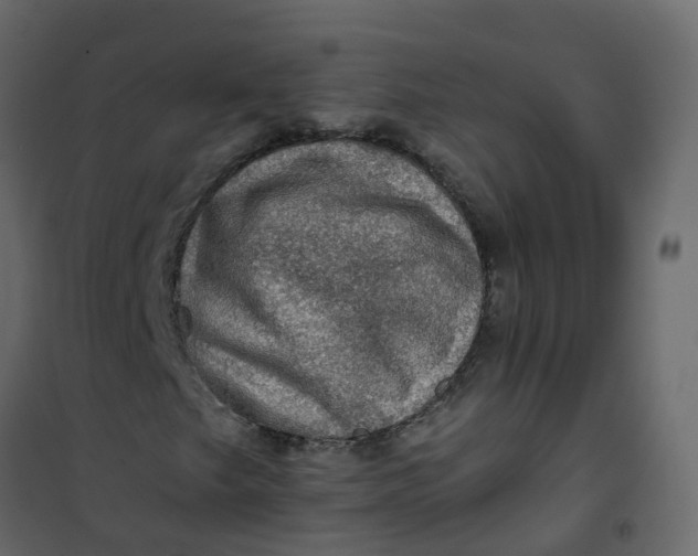 X0000101091249200807171839