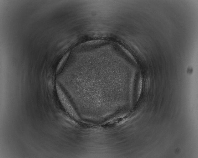 X0000101091250200807171839