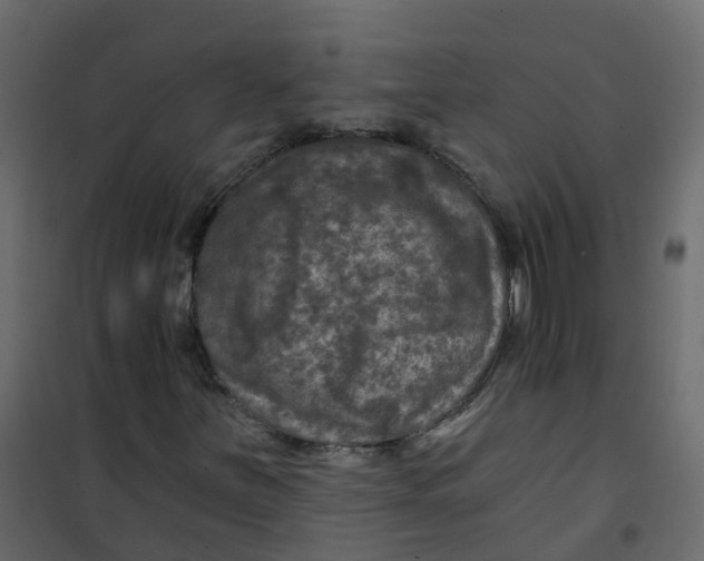 X0000101091251200807171839