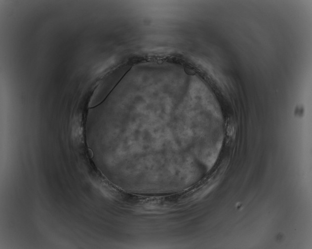 X0000101091252200807171839