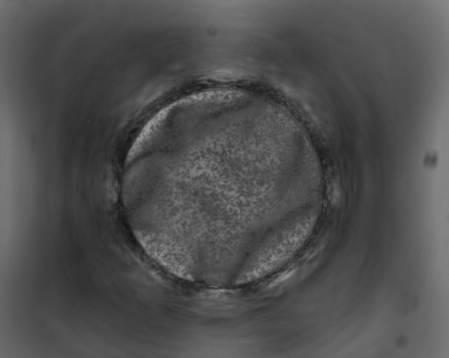 X0000101091253200807171839