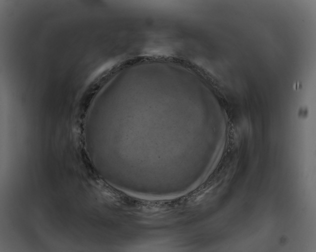 X0000101091254200807171839