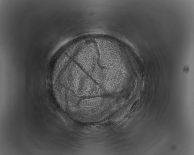 X0000101091255200807171839