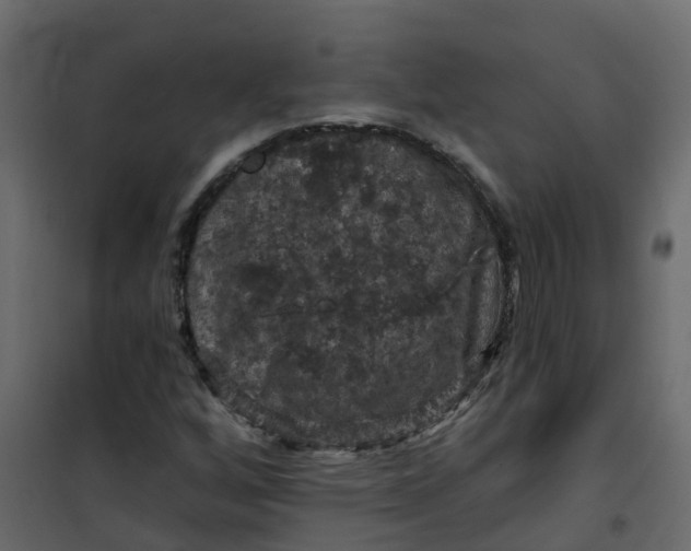 X0000101091256200807171839