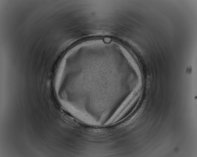 X0000101091257200807171839