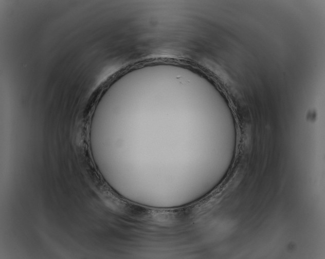 X0000101091258200807171839