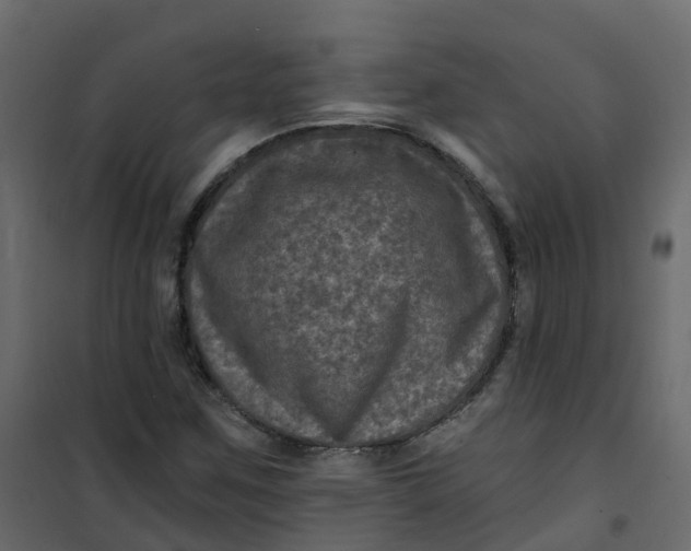 X0000101091259200807171839