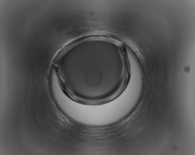 X0000101091260200807171839