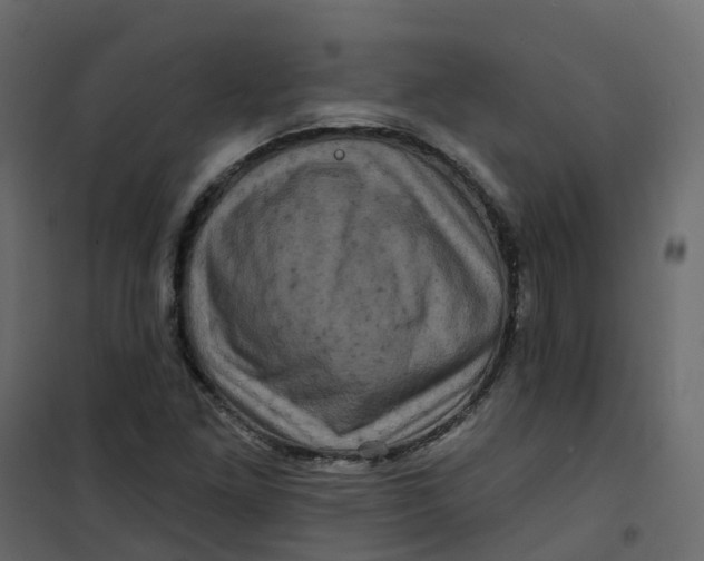 X0000101091261200807171839