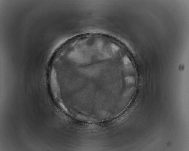 X0000101091263200807171839