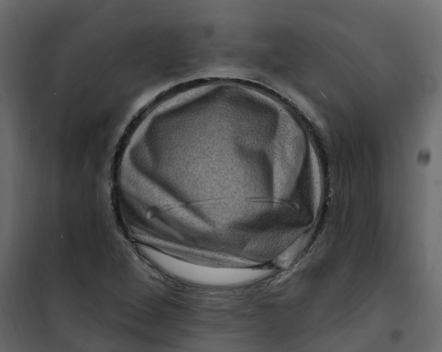 X0000101091264200807171839