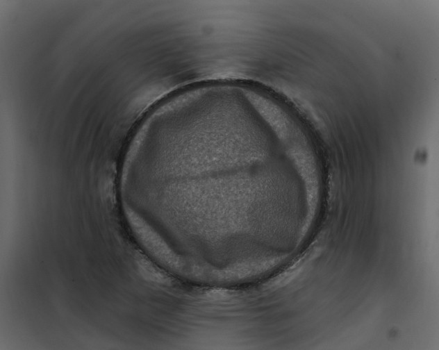 X0000101091265200807171839