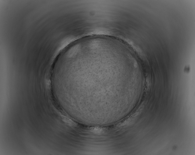 X0000101091266200807171839