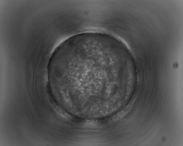 X0000101091267200807171839