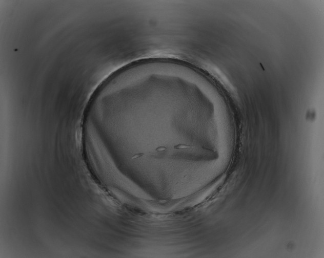 X0000101091268200807171839