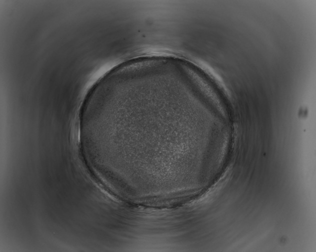 X0000101091269200807171839