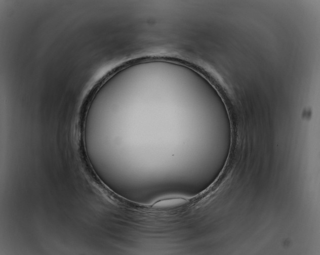 X0000101091270200807171839