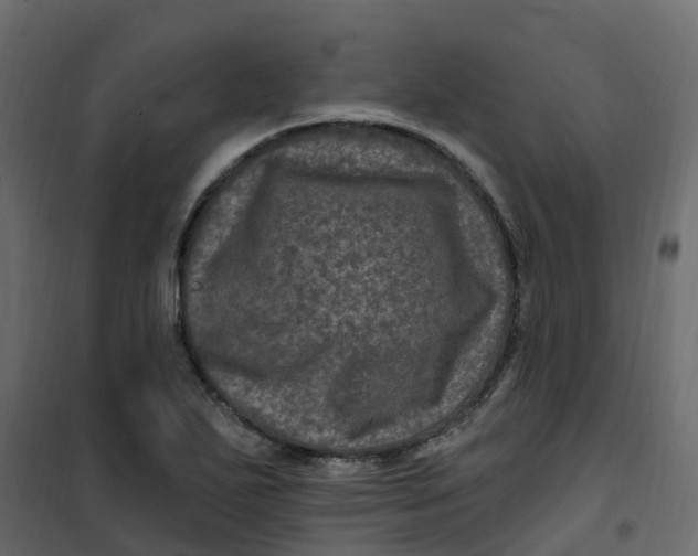 X0000101091271200807171839