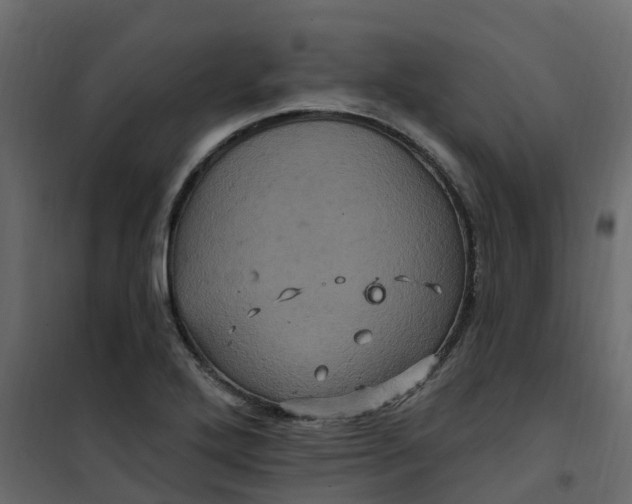 X0000101091272200807171839