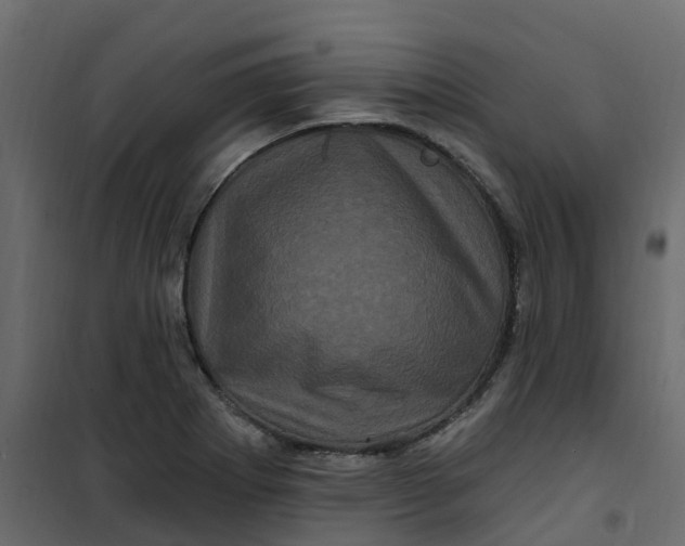 X0000101091273200807171839