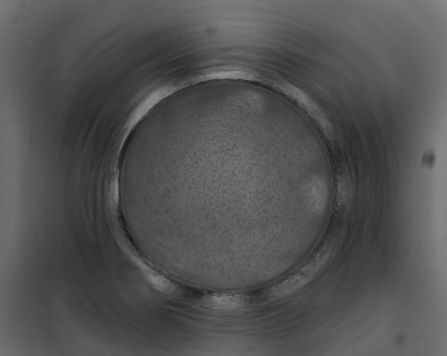 X0000101091274200807171839