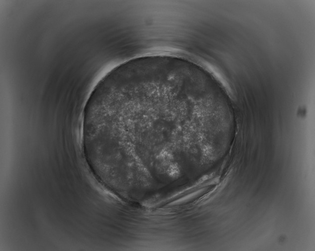 X0000101091275200807171839