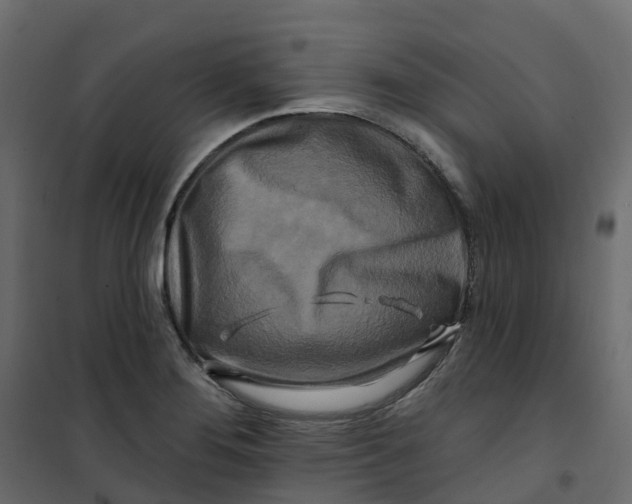 X0000101091276200807171839