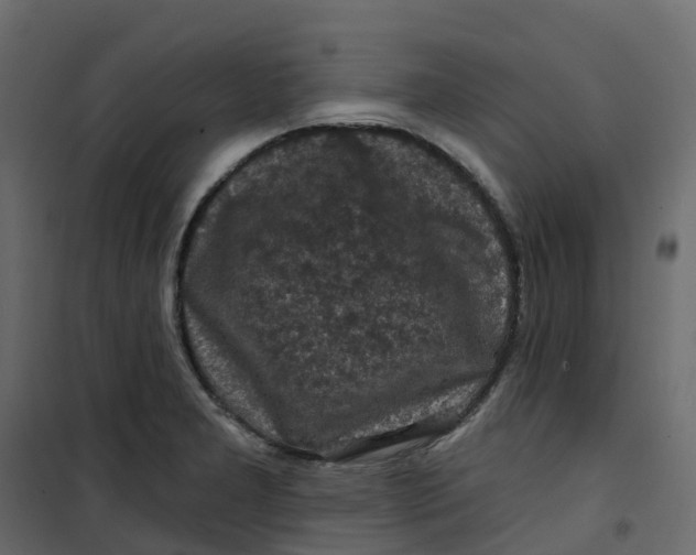 X0000101091277200807171839