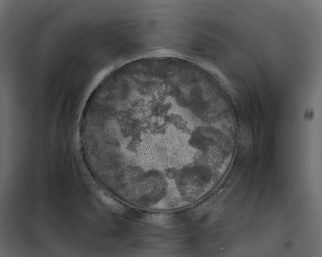 X0000101091278200807171839