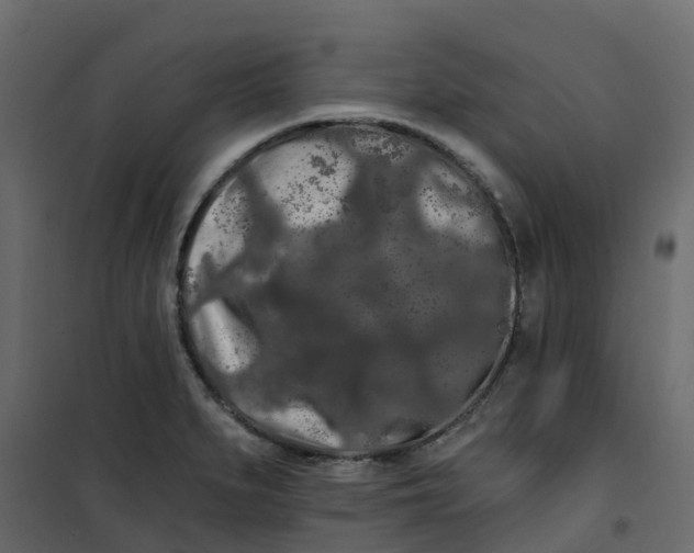 X0000101091279200807171839