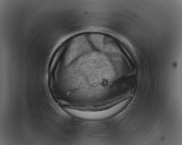 X0000101091280200807171839