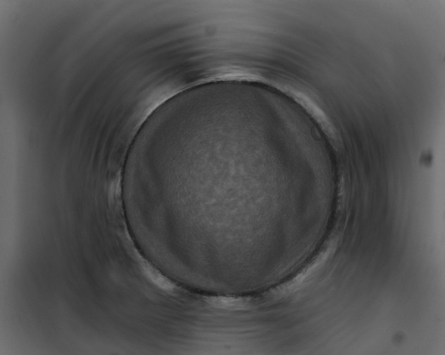 X0000101091281200807171839