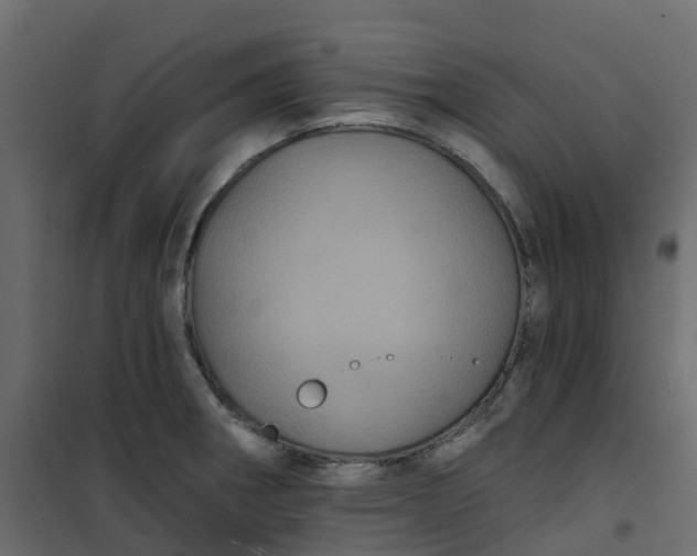 X0000101091282200807171839