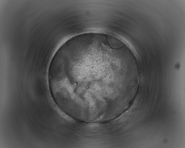 X0000101091283200807171839