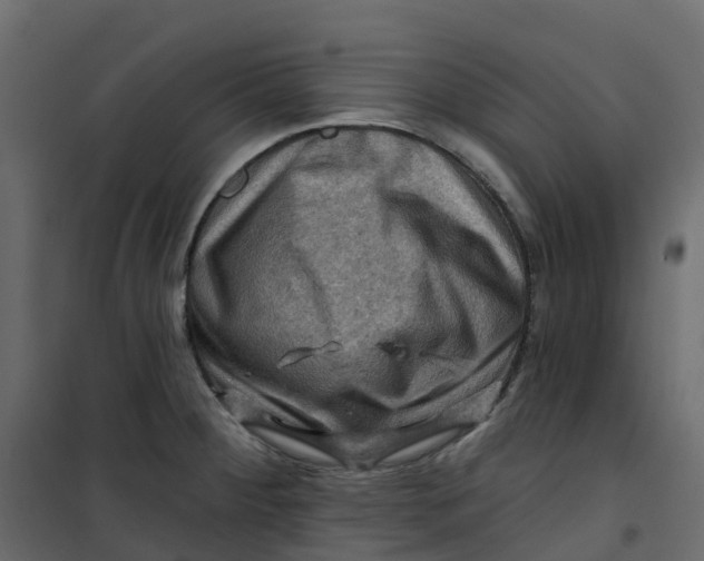 X0000101091284200807171839