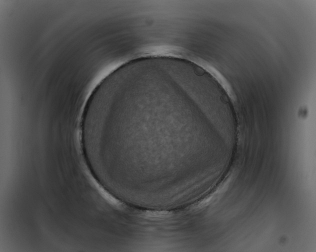 X0000101091285200807171839