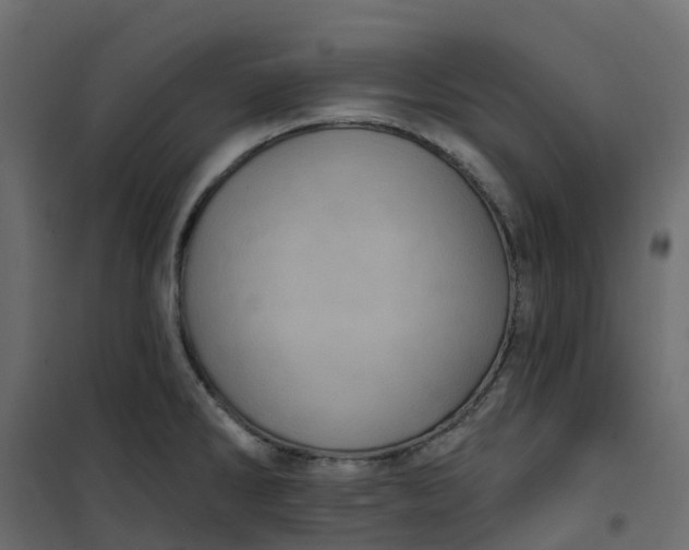 X0000101091286200807171839