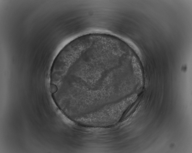 X0000101091287200807171839