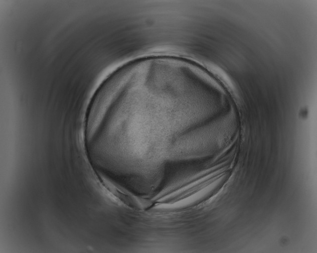 X0000101091288200807171839