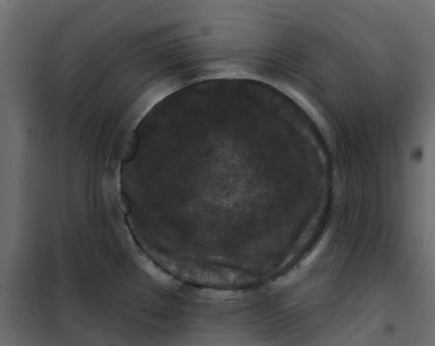 X0000101091289200807171839