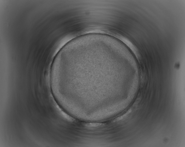 X0000101091290200807171839