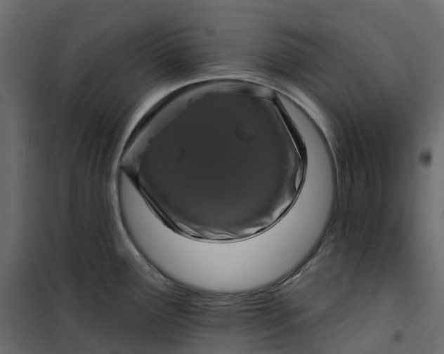 X0000101091291200807171839